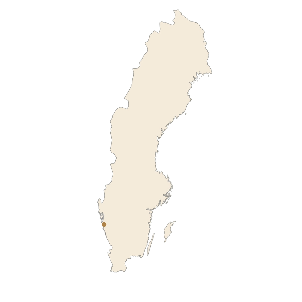 Karta över Sverige med orter där DC Wäst har utfört projekt